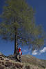 Frau Foto unterm Baum stehen Bergwanderer Naturporträt am Blauhimmel mit Bergsicht aktive Freizeit Momente