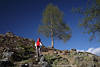 Mädchen Bergwanderer Fotos Frau unter Baum am Himmel Bergaussicht Porträt Relax in Natur