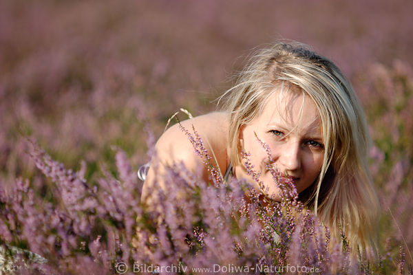 Blondine erotisch im Bltenfeld lila Heide Naturfoto Versteckspiel