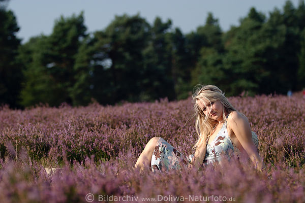 Mdel sonnend Naturbild relaxes Blondine in Heideblten liegend
