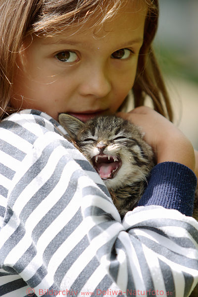 Mdchen Kind mit Katze schreiend in Armen Katzenbaby Portrait mit Miezekatze