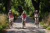 57291_Frauen-Dreier Radfahrt Portrt auf Waldweg in Baumallee unter groen Bumen radeln in Naturausflug