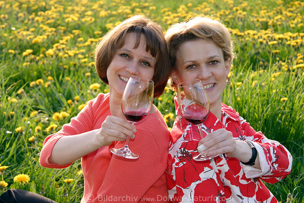Picknick Blumenwiese Frauen Ansto mit Weinglser in Frhlingsblten lcheln sitzend