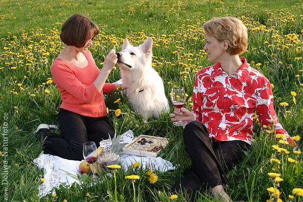 Girls Frhlingswiese-Picknick in Rotkleid mit Hund Essdecke in Gelbbltenfeld