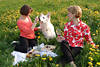 Girls Frühlingswiese-Picknick in Rotkleid mit Hund Essdecke in Gelbblütenfeld