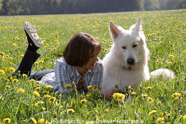 Frau in Bltenfeld liegen mit Hund auf Frhlingswiese