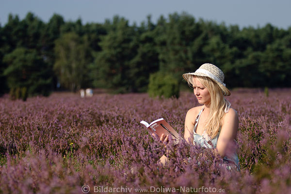 Blondine liest Buch in Heideblten sitzen unter Sonnenhut in Naturbild