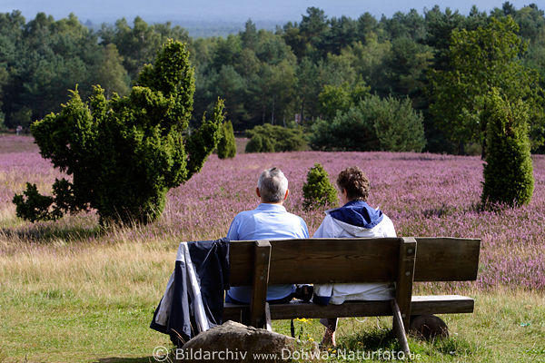 Paar auf Sitzbank vor Heideblte Wacholder Naturfoto Mann-Frau