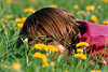 Mädchen Versteckspiel in Blumenfeld liegen Graswiese-Augenblick fröhlich lächeln