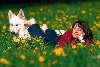 Frau Füsse auf Hund liegen in Blumenfeld Gelbblüten Grüngras