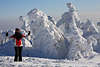 101912_Mädchen im Skianzug, lustiger Vergleich in frostigen Natur, schwarz-rot vor schneeweißen Riesen