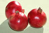 Granatapfel 3 Rotfrchte rundes Obst Bild Stillife Fotodesign Punische pfel