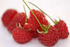 510099_Himbeeren Bild Rotfrchte Nahaufnahme Obst Lebensmittel mit Stiel weiss Hintergrund