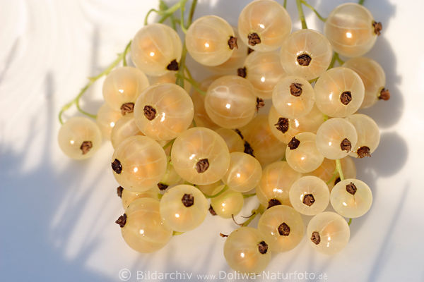 Weie Versailler Beeren Foto, gelb runde Frchte im Seitenlicht Schatten auf Teller