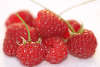 Himbeeren rote Früchte Tellerfood Biofrucht mit Stiel Makrobilder Raspberry photos close up