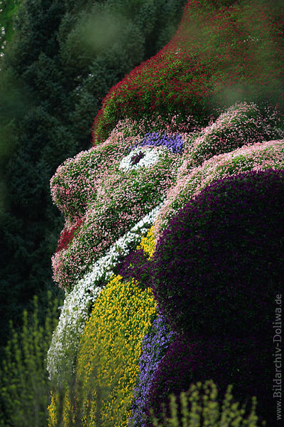 Gartenkobold Blumenkasper Blumentroll