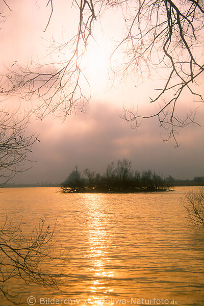 Goldwasser Stimmung Naturfoto ste Zweige Sonne Spiegelung-Reflexe