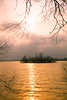 2954_Goldwasser Stimmung Naturfoto ste Zweige Sonne Spiegelung-Reflexe