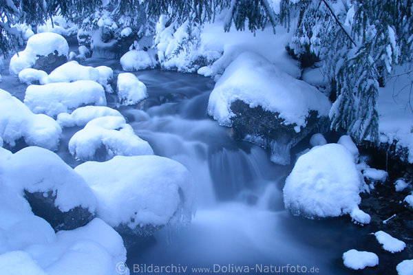 Winterbach Schneekapuzen Wasserfluss bluliche Dunststimmung