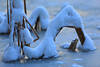 210041_Halme mit Schnee auf Eis Winterdecke Teichtafel Wasserfrost Naturfoto