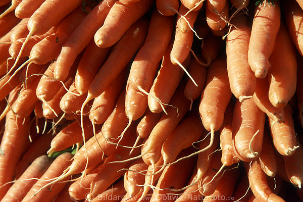 Mhren Karotten Wurzeln Mohrrben