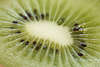 800405_ Kiwi Foto, Kiwifrucht Querschnitt Bild, Chinesische Stachelbeere Kiwikern, Kiwissamen, Actinidia chinensis