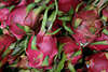 Rote Pitayas Food: Drachenfrucht - Hylocereus undatus, Pitahaya exotische Thai-Frchte
