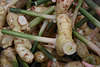 Ingwer, Thai-Ingwer Galangal, Pflanzen Wurzel foto, Ginger Gewuerze