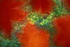 2865_Herbstliche rote Ahornblätter in Unschärfe vor grünen Buchenblätter