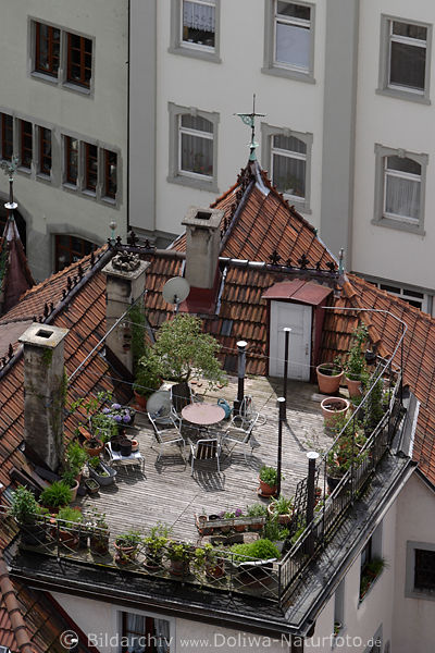 Hausdach Terrasse als  Garten inmitten Urbanarchitektur