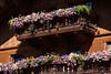 Balkonblumen lila-blau Bltenpracht Hauswand-Dekor Blumenksten