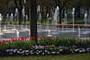 103490_Fontnenfeld hinter Gartenblumen Foto Rabatte Landesgartenschau Aschersleben Herrenbreite