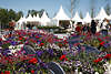 1100281_Norderstedter Gartenschau Blumenwellen Frhlingsblte Foto vor Grtnermarkt Souvenirs-Zelten