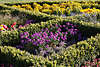 1100398_ Norderstedter Gartenschau bunte Blumenbeete Foto mit Frühlingsblüten farbigen Florarabatte