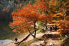 Herbst-Romantik Naturfoto bunte Herbstfarben