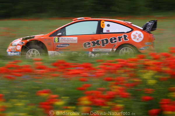 Masuren Autorennen in Blumen Klatschmohn Rotblten Rally Polen Superbild Solberg schnelle Fahrt
