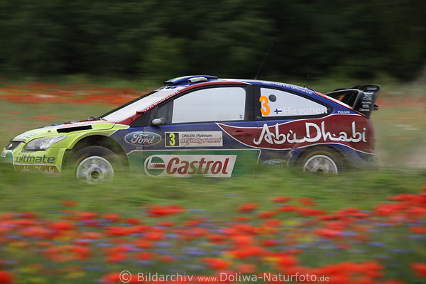 Rally-Polen Sieger-Auto Ford-Focus speed Sprint in Bltenfeld Bewegung Unschrfe Mazury Naturstrecke