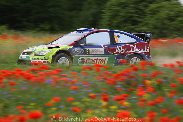 Hirvonen Rennauto Geschwindigkeit in Klatschmohnfeld Masuren Rally-Polen Dynamik Superbild vom finnischen Sieger
