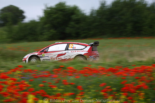 Citroen Rally-Polen in Mohnfeld rote Blumenwiese Franzose Ogier Auto