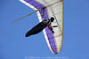 1202423_Drachenflieger Bild im Fluggurt mit Modern-Navigert unter weiss-lila Segeldrache am Blauhimmel gleiten