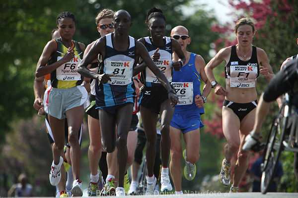 Frauenmarathon beste Spitzenluferinnen in Alsterallee