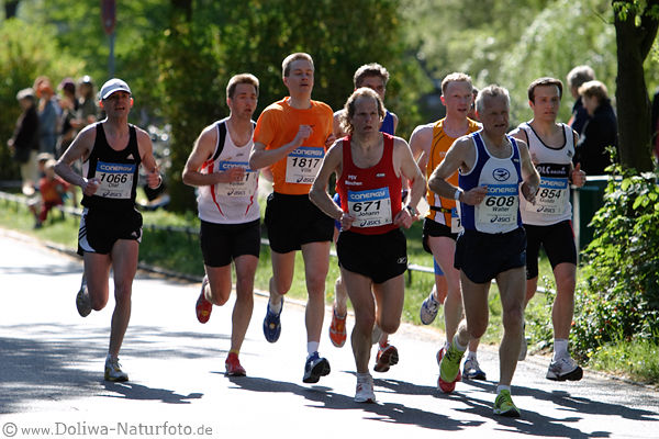 Hamburger Marathon Lauf in Alsterallee Jogger-Truppe in Sonnenschein Gegenlicht