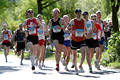 Marathon Hamburg Läufer Bild in Gegenlicht Steffen, Derk, Olaf, Werner & Hans