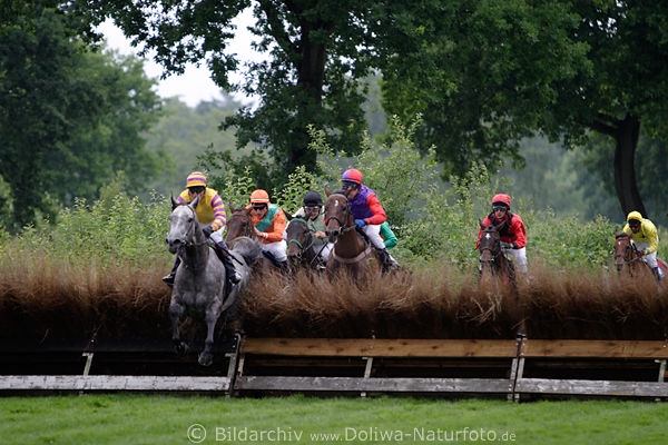 Hrdenrennen Pferde Sprung ber Hindernis der Hintergerade vorn Vlastislav Korytar