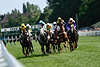 54962_Pferdetruppe Galopplauf Turfrennen Fotografie Zielgerade von HansaPreis