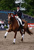 702761  Tini Schauenberg mit Aventino Fotos, Amazone Reiterin von RV Rehagen-Hamburg zu Pferd bei Grand Prix Kr Tanzkr
