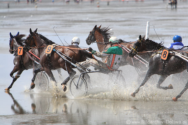 Pferdelauf Trabrennen in Watt Spritzwasser Sulky-Gespanne dynamisches Aktionbild