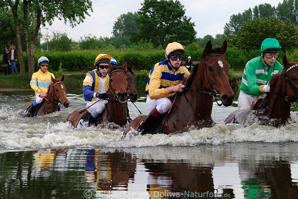 Seejagdrennen Jockeys Pferde Wasserberquerung Hamburger Hornrennbahn