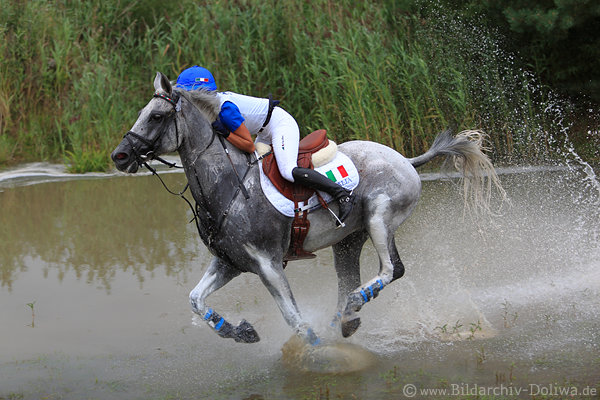 Pferd Wasserritt Spritzer Symbolpose mit Italien-Amazone dahinter