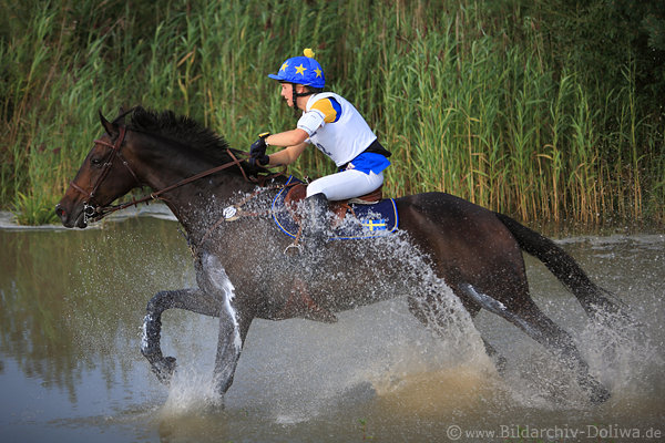 Pferderitt in Wasser Gelnde Reiterin Kulle Moa Schwedin Amazone am Schilf